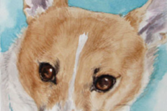 Request Quote: Carla Sternberg Koch - Pet Portrait Artist - Nationwide
