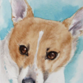 Carla Sternberg Koch - Pet Portrait Artist - Nationwide