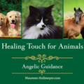 Healing Touch for Animals - Similar to Animal Reiki  - Cincinnati, OH