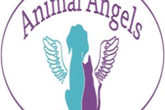 Request Quote: Animal Angels In-Home Pet Euthanasia - Tallahassee, FL