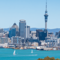 International Pet Shipping To Auckland New Zealand