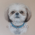 The Art of PUDELKO - Glendale California Pet Portraits - Nationwide