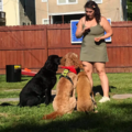 Maren Lavelle - Certified CCPDT Private Dog Trainer - Montclair, NJ