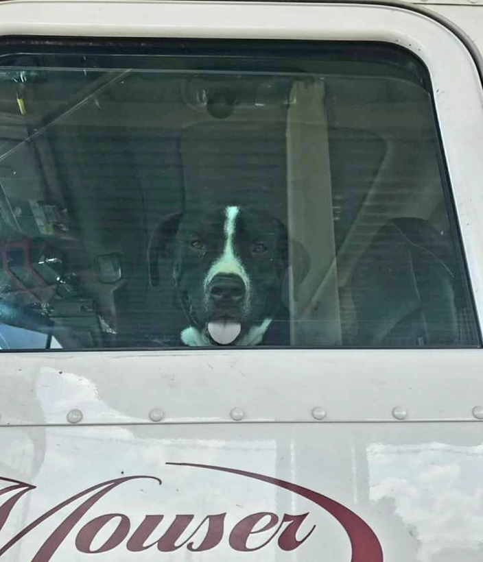  Wendy Mouser USDA Pet Transportation Nationwide