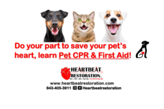 Request Quote: Pet CPR & Pet First Aid Training - Heartbeat Restoration    - Charleston, SC