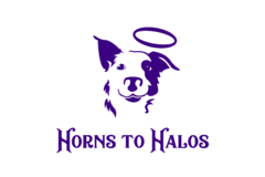 Request Quote: Horns To Halos - Private Dog Training Services - Richlands, NC
