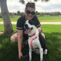 The Puppy Coach LLC - Dog and Puppy Training - Littleton, CO