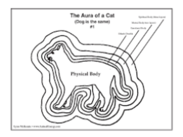 Aura of a Cat