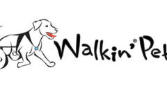 Request Quote: Walkin' Pets - Pet Physical Therapy and Animal Reiki Care - Amherst, NH