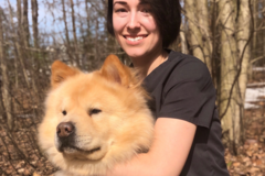 Request Quote: Essentially Scents and Pets - Animal Homeopathy - Nationwide