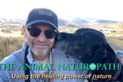 Request Quote: The Animal Naturopath - Park City, UT - Nationwide