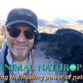 The Animal Naturopath - Park City, UT - Nationwide