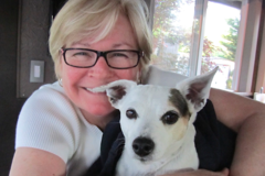 Request Quote: Embrace the Angel End-of-Life - Pet Loss Grief Counselor - Annapolis, MD