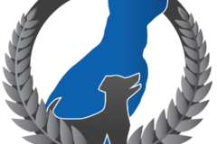 Request Quote: Dog Training Elite Lowcountry - Private Dog Training - Summerville, SC