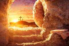 Request Quote: Healing Hands For Precious Pets - Animal Reiki - Binghamton, NY - Nationwide