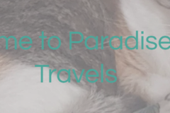 Request Quote: Paradise Pets Travels - Pet Transportation Service - Nationwide