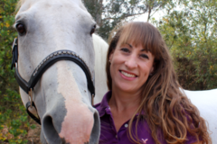 Request Quote: Symmetry Equine Sports Massage Therapy - Santa Barbara, CA