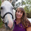 Symmetry Equine Sports Massage Therapy - Santa Barbara, CA
