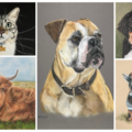 Pet Portraits by Rebecca - Nationwide