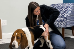 Request Quote: Williamson Chiropractic - Animal Chiropractic Care - Beaumont, TX