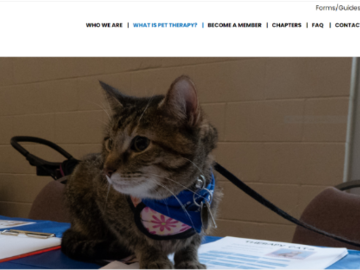 cat therapy event