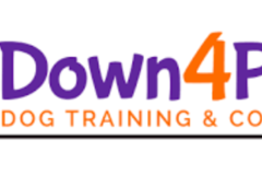 Request Quote: Down 4 Paws - Certified Private Dog Trainer  - Norwood, MA