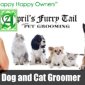 Aprils Furry Tail - Mobile Pet Grooming Service - Los Angeles, CA