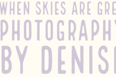 Request Quote: When Skies Are Grey Pet Photography by Denise  - Chesapeake, VA