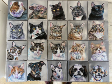 6"x6" oil on canvas pet portraits