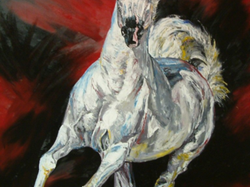 40"x60" oil on canvas arabian horse