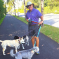 Village Pet Pals - Pet Sitting and Dog Walking Services - Palm Beach, FL