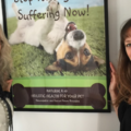 Active Pet Health - Animal Chiropractic Care - Oxnard, CA