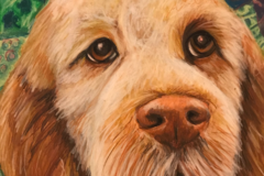 Request Quote: Clay Creations Creatures - Pet Portrait Artist - Nationwide
