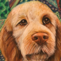 Clay Creations Creatures - Pet Portrait Artist - Nationwide