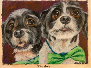 A client hired me to do this drawing of her brother's two dogs, usually referred to as "The Boys." The bowties were a requested part of the drawing and I think they really go a long way to show the dogs' personalities.