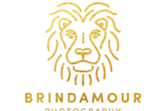 Request Quote: Brindamour Photography - Pet Photographer - Brooklyn, NY