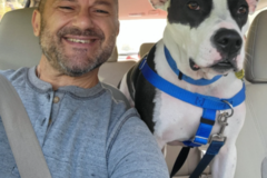 Request Quote: Dedicated Pet Sitter Services - Crawford County, GA