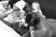Request Quote: Maranda Sits For You - Pet Sitter and Doggy Daycare - Reno, NV