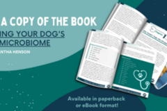 Request Quote: Healing Your Dog's Gut Microbiome 