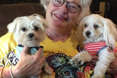 Request Quote: Our Dogs R People 2 - Doggy Daycare and Dog Boarding - Catoosa, OK