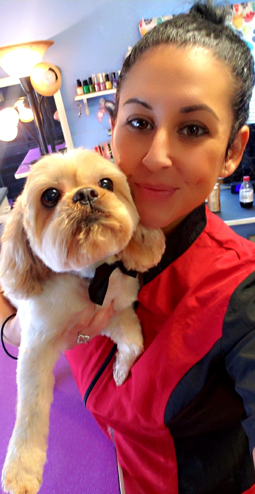 Understanding the Legal Aspects of Mobile Dog Grooming Insurance