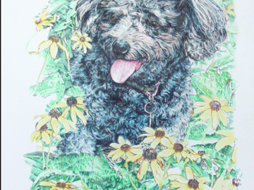 dog in colored pencil