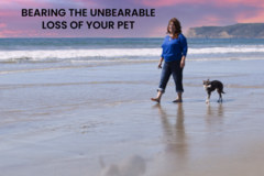 Request Quote: Bearing the Unbearable Loss of Your Pet - Grief Counselor  - San Diego, CA