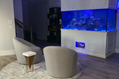 Request Quote: JKFish Aquarium Services - Randolph, NJ
