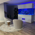 JKFish Aquarium Services - Randolph, NJ