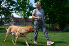 Request Quote: Think Pawsitively - Dog Behavior and Certified Dog Trainer - Missoula, MT