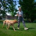 Think Pawsitively - Dog Behavior and Certified Dog Trainer - Missoula, MT