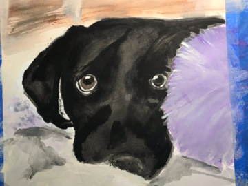 Puppy Eyes (Watercolor)