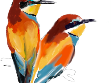 Bird Pair (Digital)