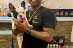 Request Quote: Alkaline Vibes And 9th Wonder Healing - Animal Reiki Master - Nationwide